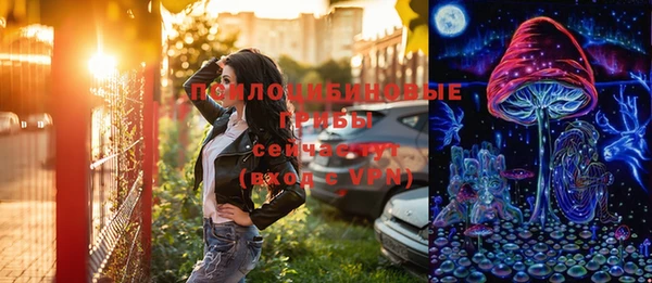 мет Пересвет