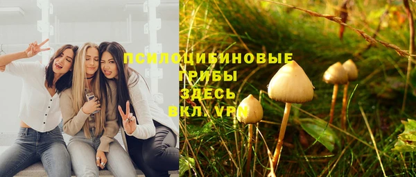 мет Пересвет