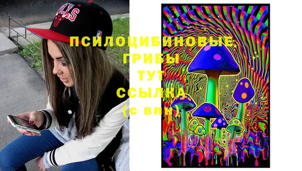 ECSTASY Покров
